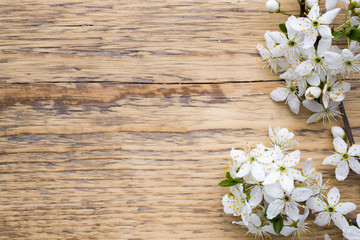 Tree cherry.