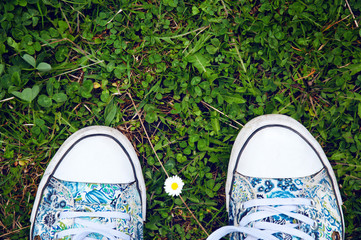 Two feet in canvas shoes standing on the grass, a camomile flowe