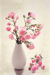 Small wild pink roses in a vase, texture background