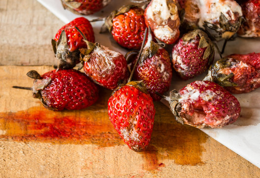 rotten strawberries