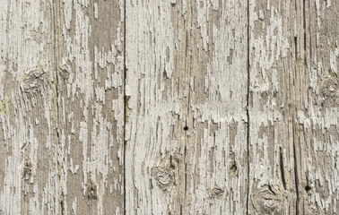 Holz Hintergrund alt, rustikal und abgenutzt in Weiß