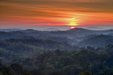Mountain and fog Landscape