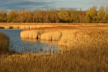 Insel R&uuml;gen