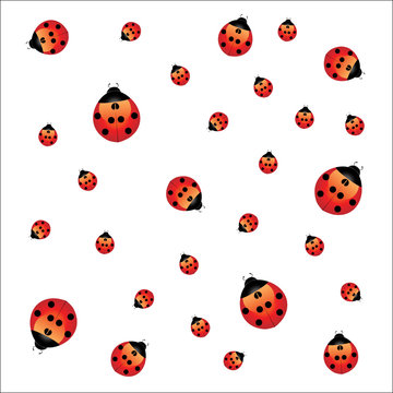 Vector seamless pattern background With ladybugs