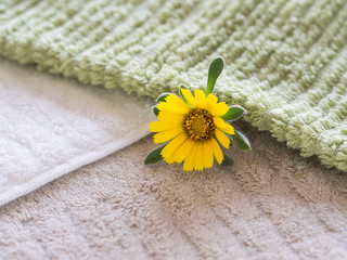 オーガニックコットンタオル