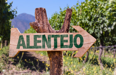 Alentejo wooden sign with winery background