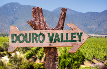 Douro Valley wooden sign with winery background