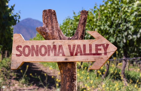 Sonoma Valley Wooden Sign With Winery Background