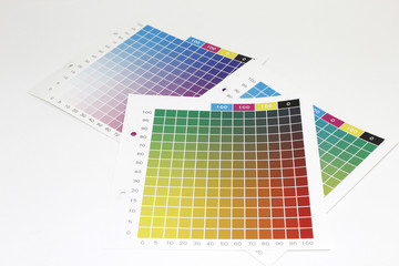 カラーチャート　（印刷用）