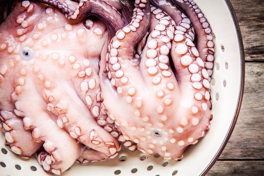 two fresh octopus in white colander closeup