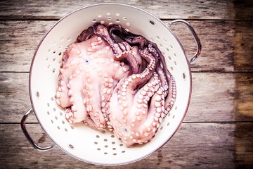 two fresh raw octopus in white colander