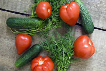 fresh vegetables, cucumbers, tomatoes and fennel on wooden background