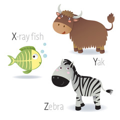 Alphabet with animals from X to Z