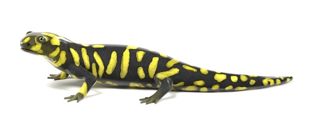 3d render of tiger salamander