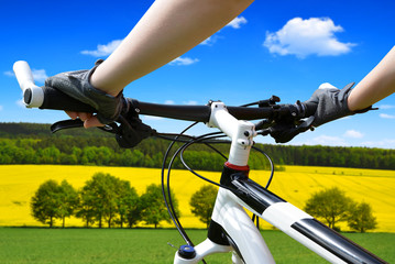 Hands in gloves holding handlebar of a bicycle