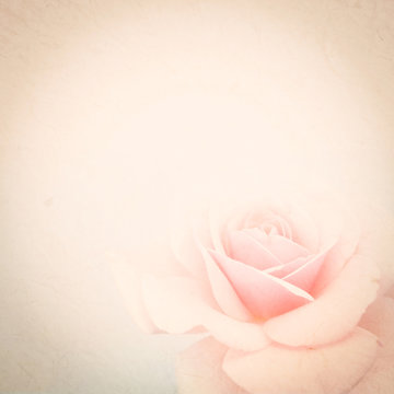 vintage color rose in soft color style on mulberry paper texture for background
