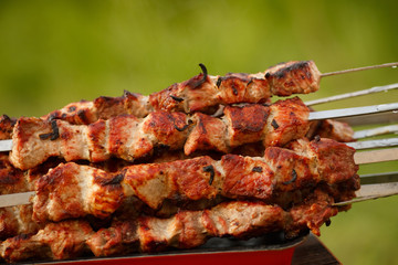 Barbecue grilled pork shashlik meat