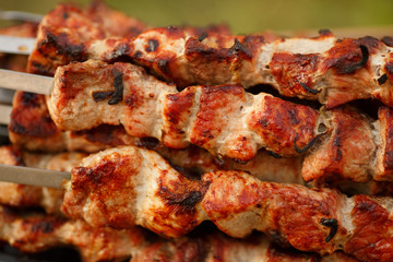 Barbecue grilled pork shashlik meat