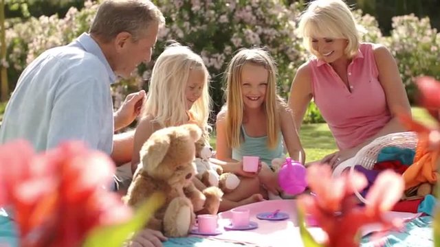 Grandparents and two granddaughters having teddy bears picnic in park.