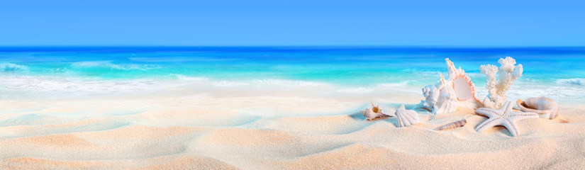 Panele Szklane  muszle na brzegu morza - tło wakacje na plaży