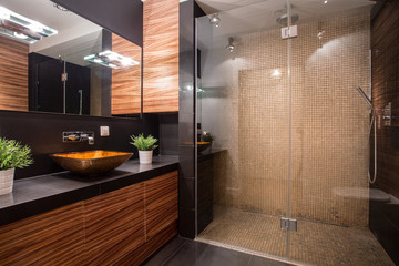 Bathroom with fancy shower - obrazy, fototapety, plakaty