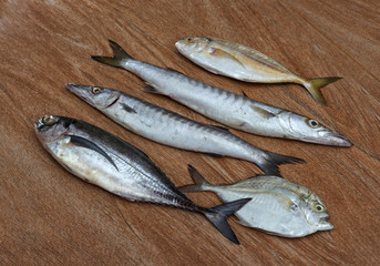 Fresh fish assortment