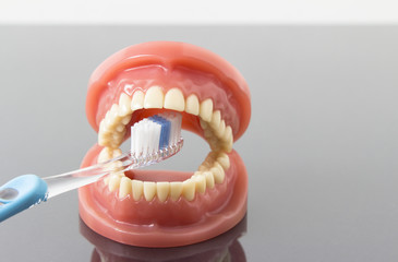 Dental Hygiene und Sauberkeit Konzept mit einer Zahnbürste die die Zähne reinigt und platz für...