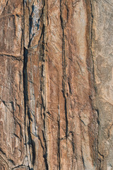 Rock background