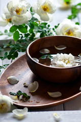 spa concept