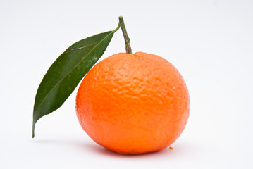 Fresh orange on a white background