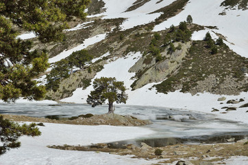 Glacial lake of the Madriu-Perafita-Claror valley