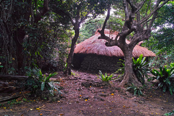 上比屋山遺跡の茅葺屋根の古い住居