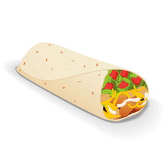 an isolated tasty burrito on a white background - obrazy, fototapety, plakaty