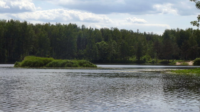 The pond and the island in the summer forest in Russia