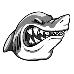 Shark mascot, team label design.