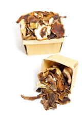 Dehydrated Dried Mushrooms. Selective focus.