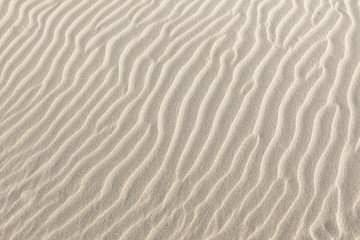 Fototapeta na wymiar Climate change and global warming. White sand ripples on a desert
