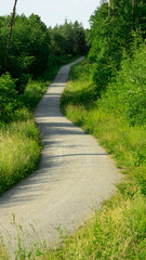 Long curvy lane