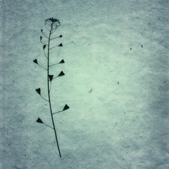 Blue Vintage card with Leaf, flowers and Old Paper Texture.