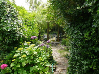 green setting, in a garden