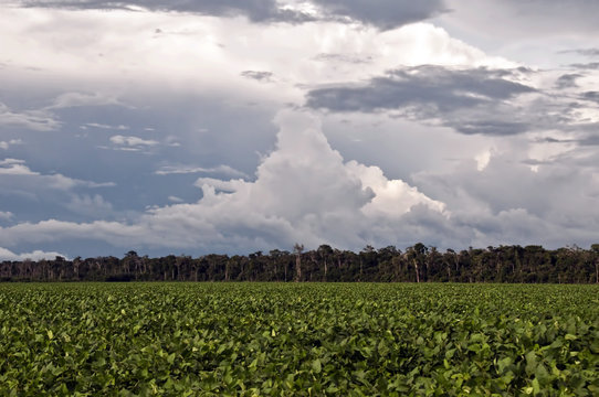 Felliz Natal, Mato Grosso