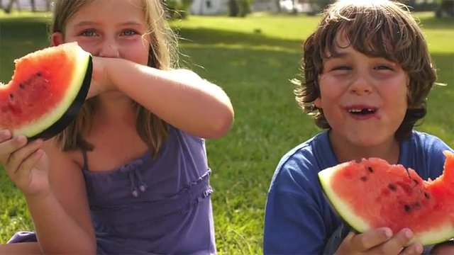 Brother and sister eating watermelon in park. 