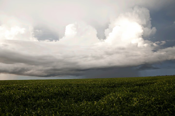 Feliz Natal, Mato Grosso