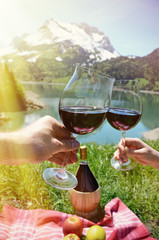 Wine and fruits served at a picnic in Alpine meadow. Switzerland