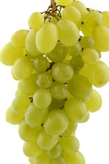 Hanging bunch of green grapes on white