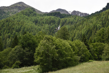 paesaggio di montagna baite chalet alberi bosco