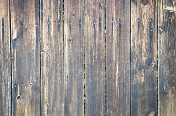 Naklejka premium Wooden colored texture