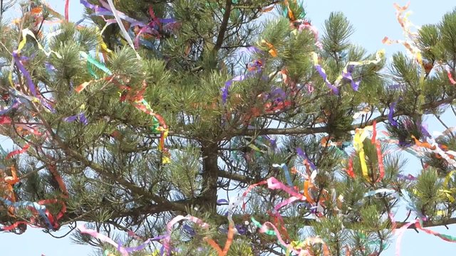 Maypole in wind