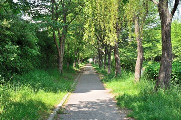 京都　伏見濠川遊歩道