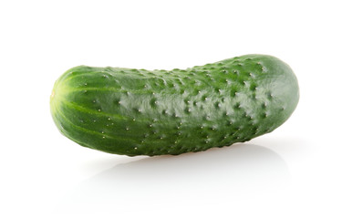 Fresh Cucumber Isolated on White Background
